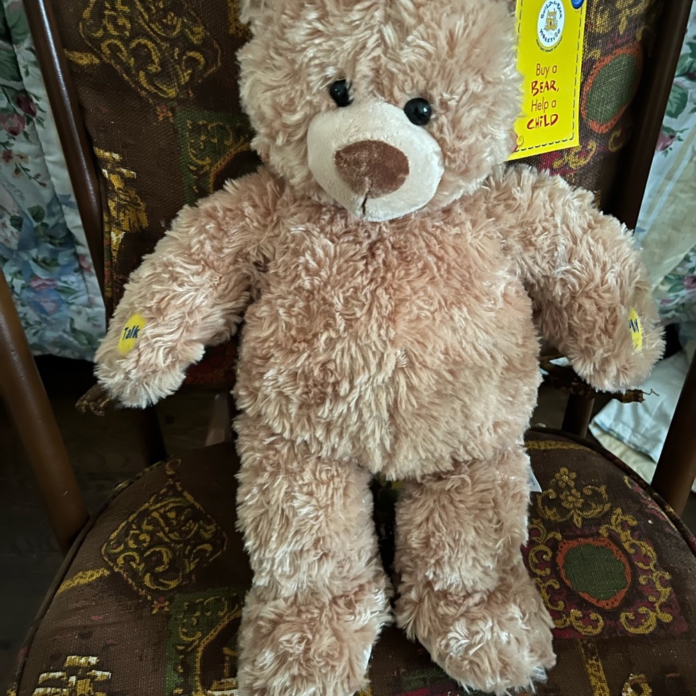 2007 Recordable Build-A-Bear, made exclusively for JC Penney